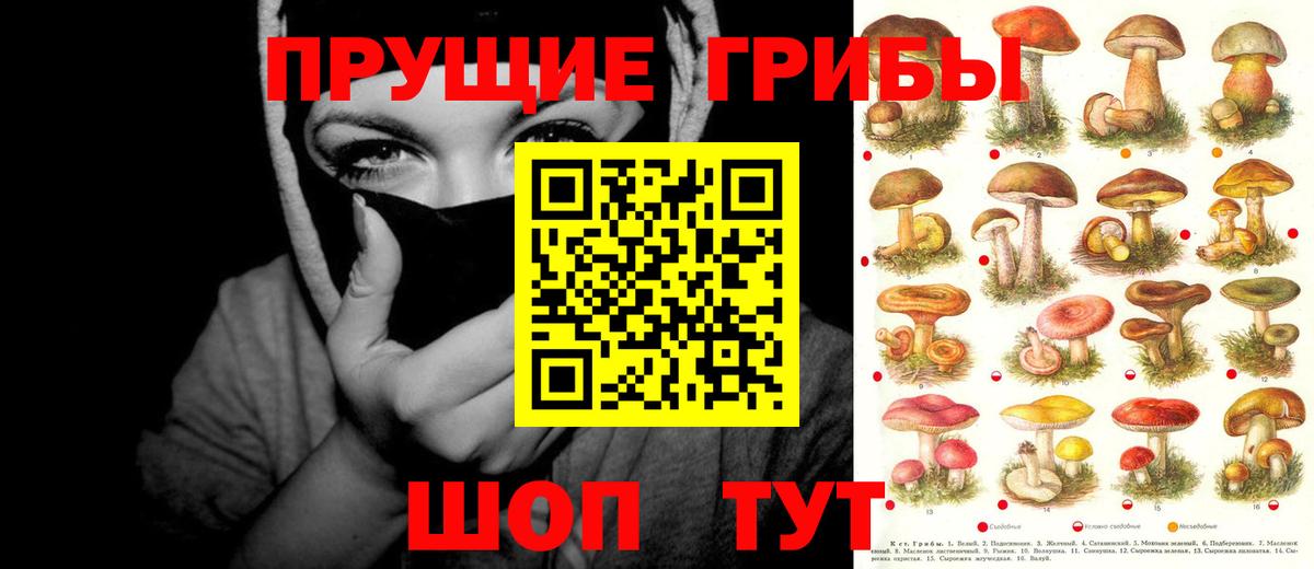 Галлюциногенные грибы ЛСД Павлово