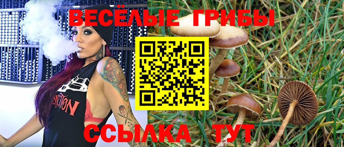 хочу   Псилоцибиновые грибы мицелий  Вход с VPN  Павлово  Псилоцибиновые грибы ЛСД 